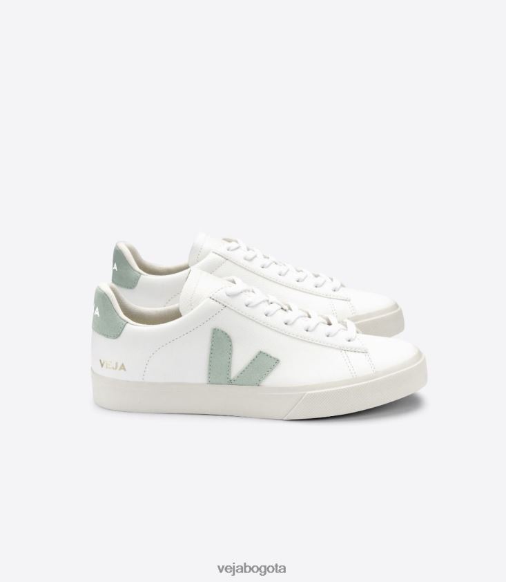 Veja Z6JRPR17campo cuero sin cromo matcha blanco