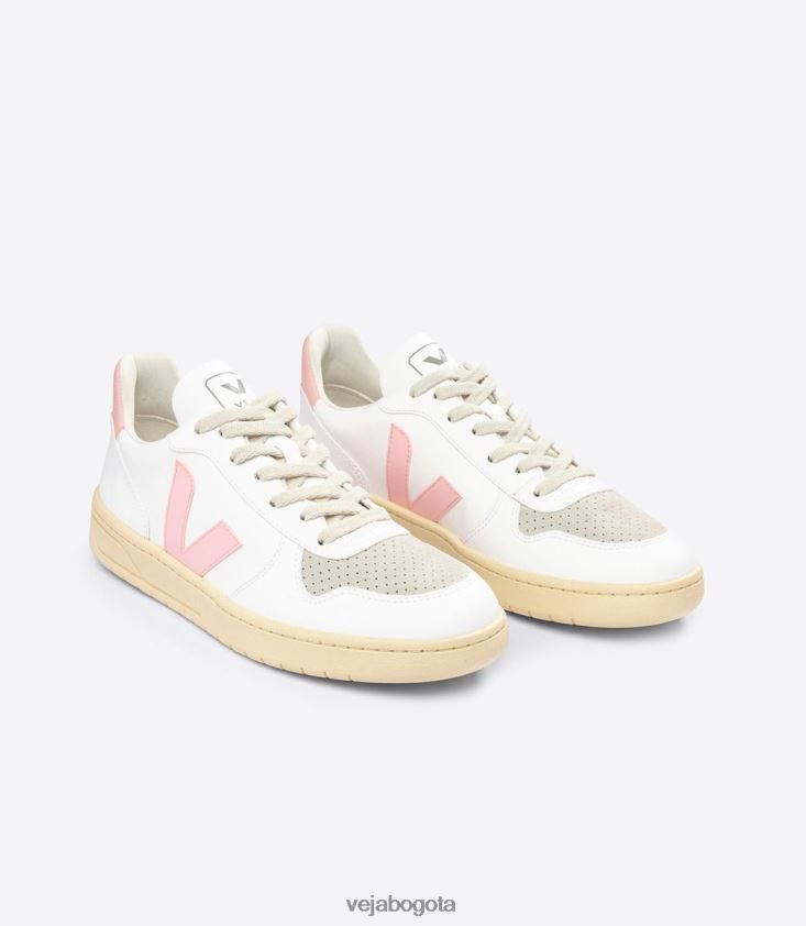 Veja Z6JRPR52v-10 cwl pétalo blanco