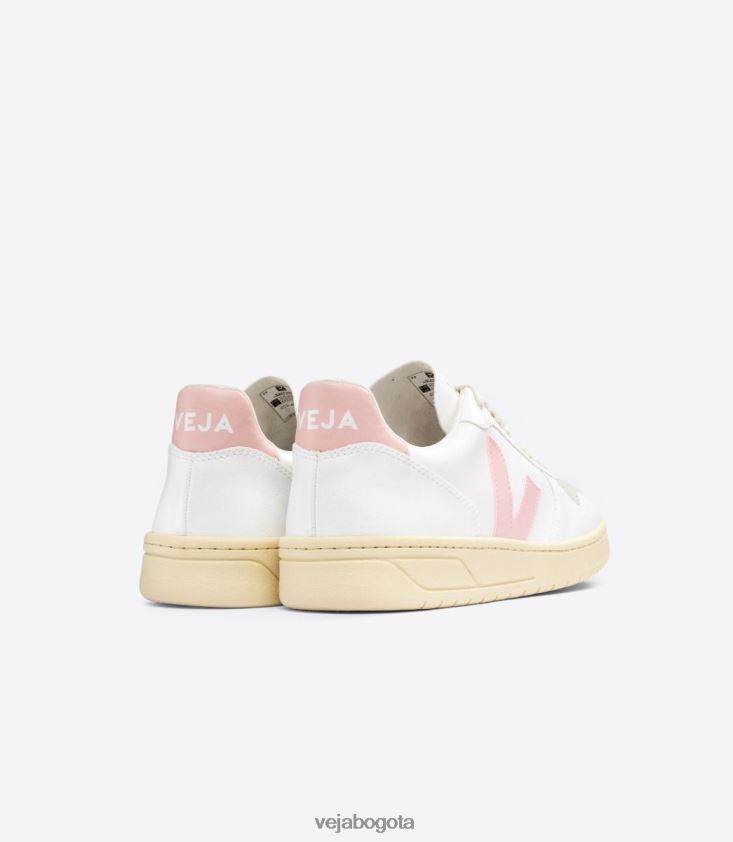 Veja Z6JRPR52v-10 cwl pétalo blanco