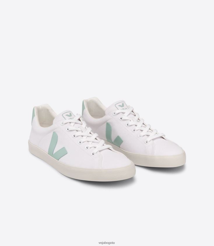 Veja Z6JRPR244esplar se lienzo matcha blanco
