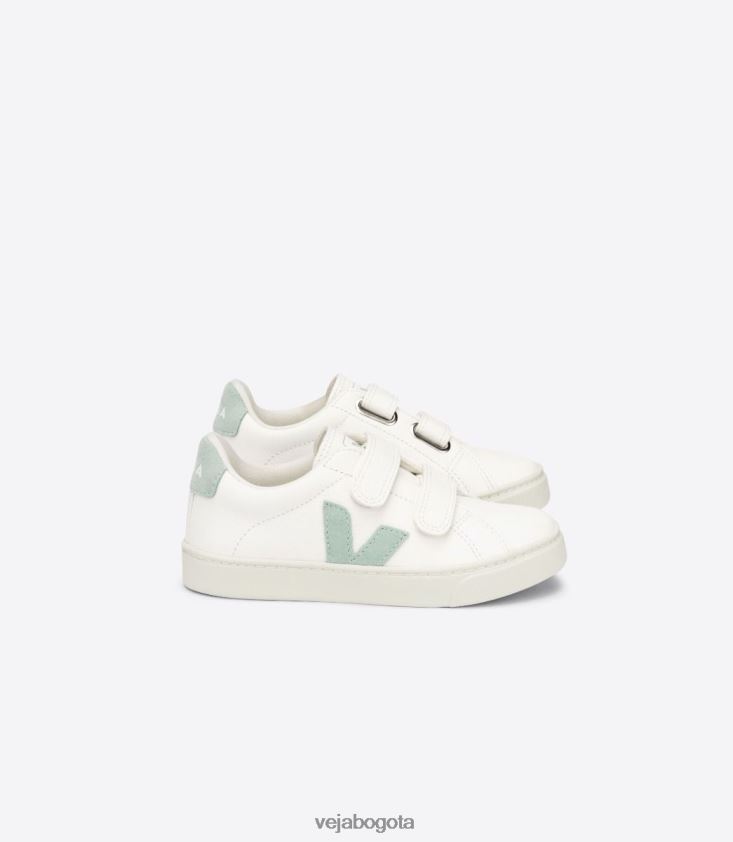 Veja Z6JRPR329esplar cuero sin cromo matcha blanco