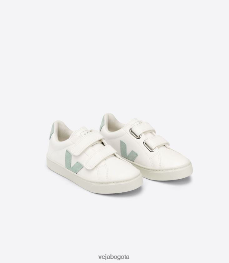 Veja Z6JRPR329esplar cuero sin cromo matcha blanco